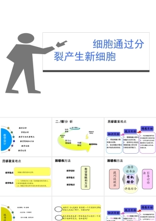 2014秋七年级生物上册 第二章 第一节 细胞通过分裂产生新细胞（第2课时）课件 （新版）新人教版