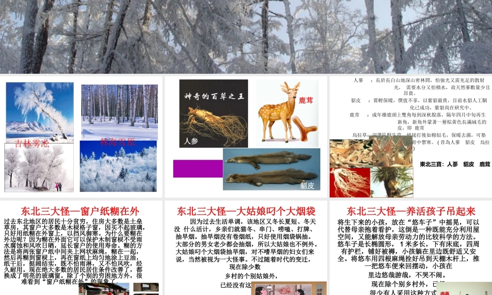 2015年八年级地理下册 6.1 东北地区的地理位置与自然环境课件 （新版）湘教版