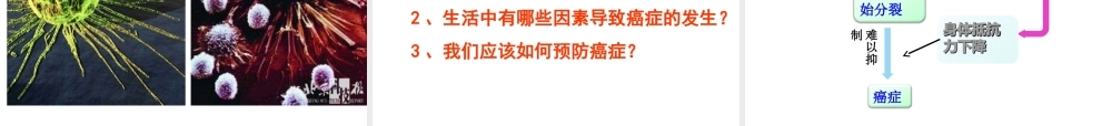 2014秋七年级生物上册 第二章 第一节 细胞通过分裂产生新细胞（第3课时）课件 （新版）新人教版