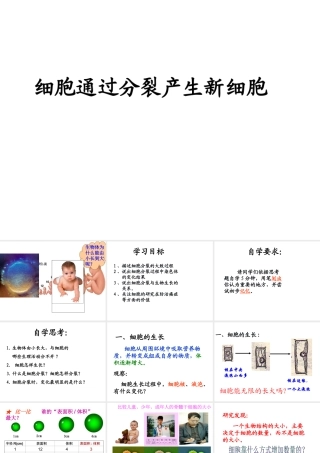 2014秋七年级生物上册 第二章 第一节 细胞通过分裂产生新细胞（第3课时）课件 （新版）新人教版