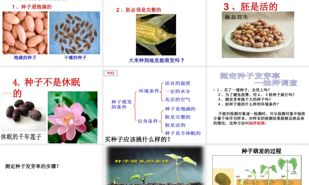 2014秋七年级生物上册 第二章 第一节 种子的萌发课件 新人教版