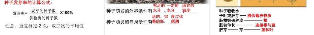 2014秋七年级生物上册 第二章 第一节 种子的萌发课件 新人教版