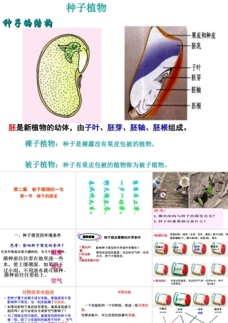 2014秋七年级生物上册 第二章 第一节 种子的萌发课件 新人教版