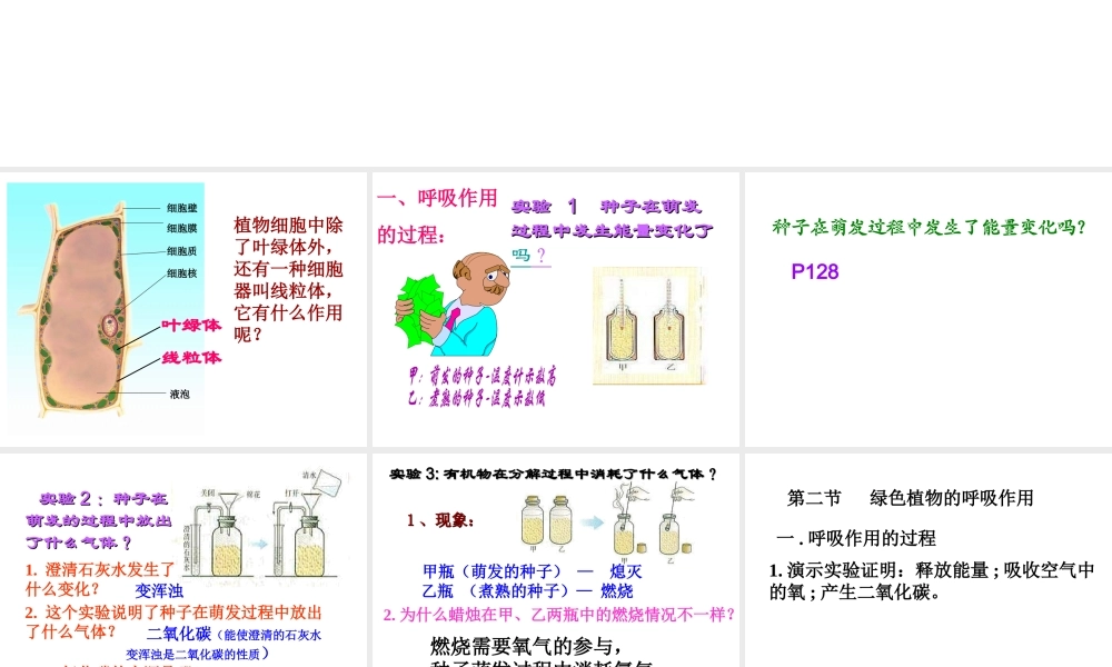 2014秋七年级生物上册 第三单元 第五章 第二节 绿色植物的呼吸作用课件 （新版）新人教版