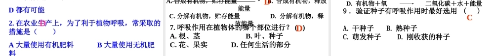 2014秋七年级生物上册 第三单元 第五章 第二节 绿色植物的呼吸作用课件 （新版）新人教版