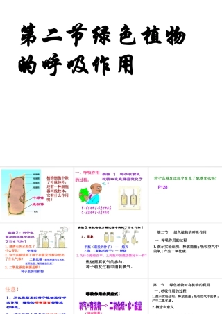 2014秋七年级生物上册 第三单元 第五章 第二节 绿色植物的呼吸作用课件 （新版）新人教版