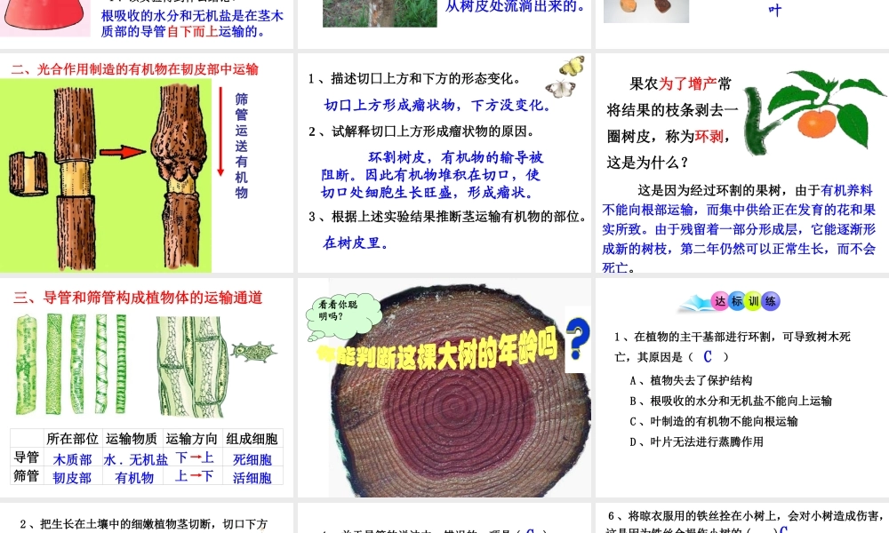 2014秋七年级生物上册 第三单元 第五章 第五节 运输作用课件 北师大版