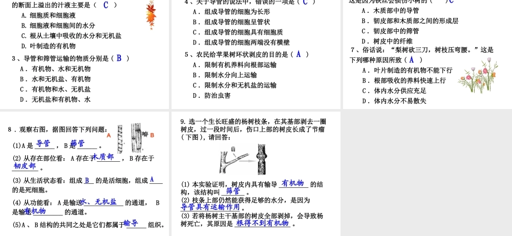 2014秋七年级生物上册 第三单元 第五章 第五节 运输作用课件 北师大版