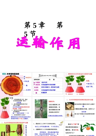 2014秋七年级生物上册 第三单元 第五章 第五节 运输作用课件 北师大版