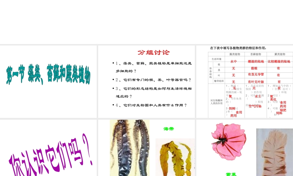 2014秋七年级生物上册 第三单元 第一章 第一节 藻类、苔藓和蕨类植物课件 新人教版
