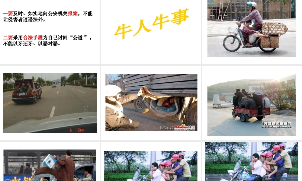 2014年秋八年级政治上册 第八课 第一框 法律保护我们的生命健康权课件1 鲁教版