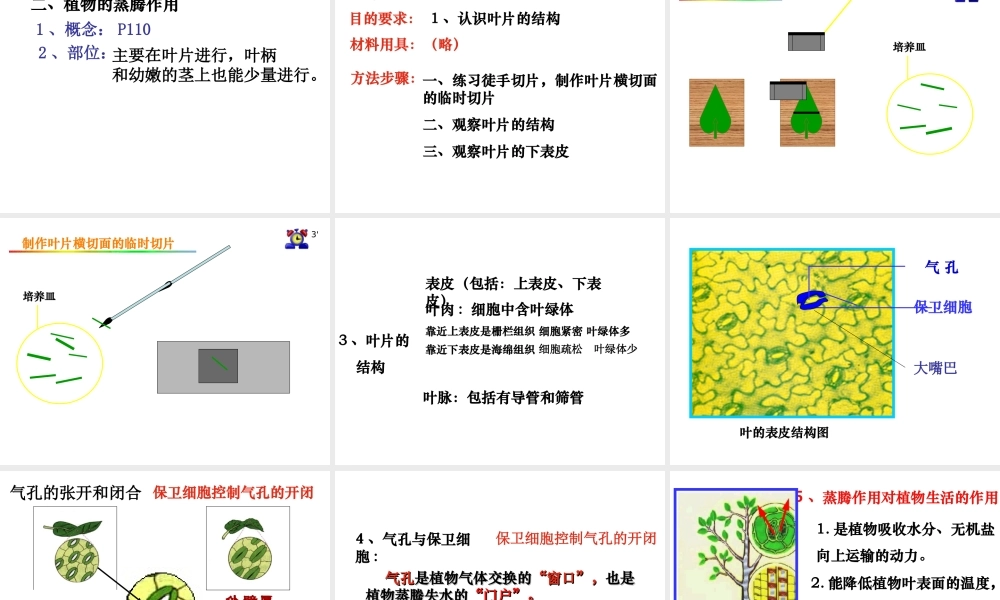2014秋七年级生物上册 第三章 第三节 绿色植物参与生物圈的水循环课件 新人教版