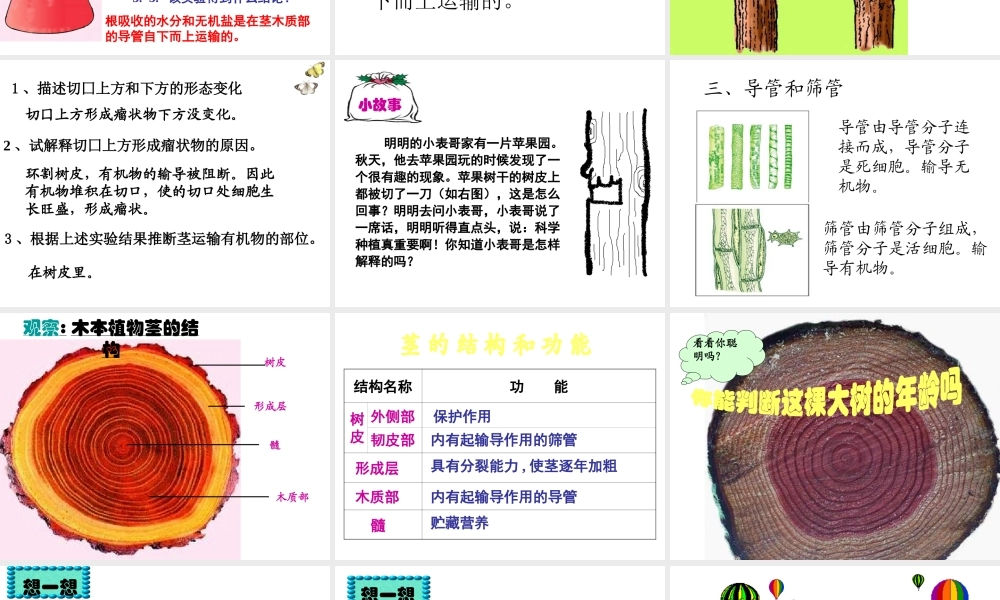 2014秋七年级生物上册 第五章 第五节 运输作用课件 北师大版