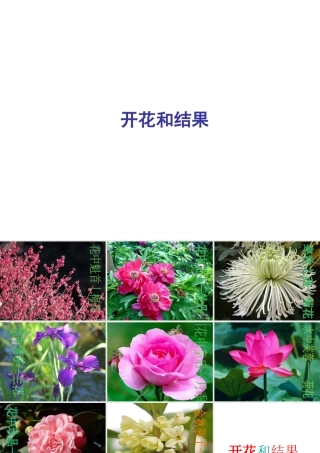 2014秋七年级生物上册 第五章 第五节 植物的开花和结果（第1课时）课件 苏教版