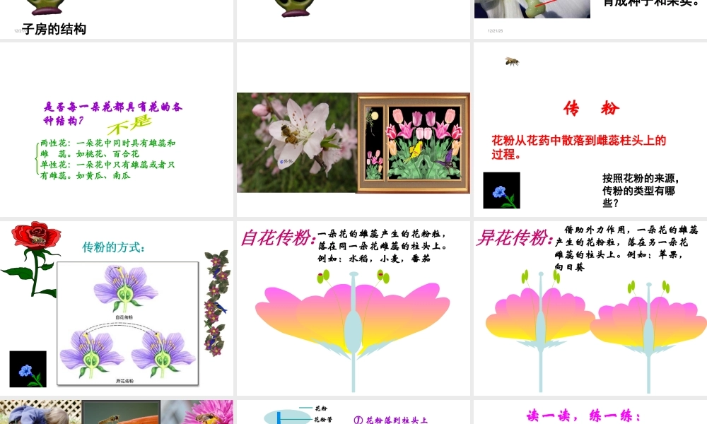 2014秋七年级生物上册 第五章 第五节 植物的开花和结果（第2课时）课件 苏教版