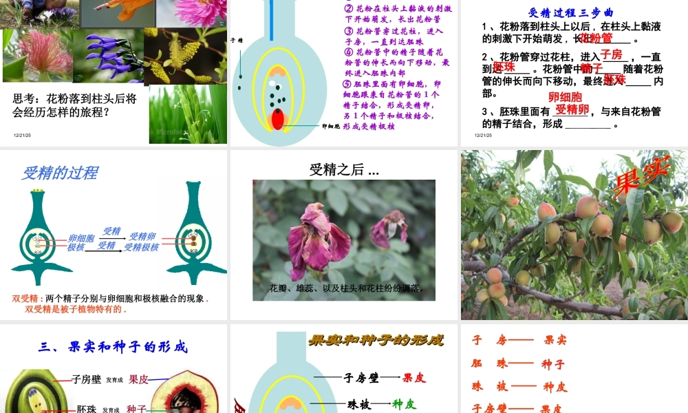 2014秋七年级生物上册 第五章 第五节 植物的开花和结果（第2课时）课件 苏教版