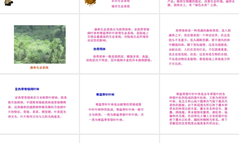 2014秋七年级生物上册 第一单元 第二章 第五节 生物圈是最大的生态系统（第2课时）课件 新人教版