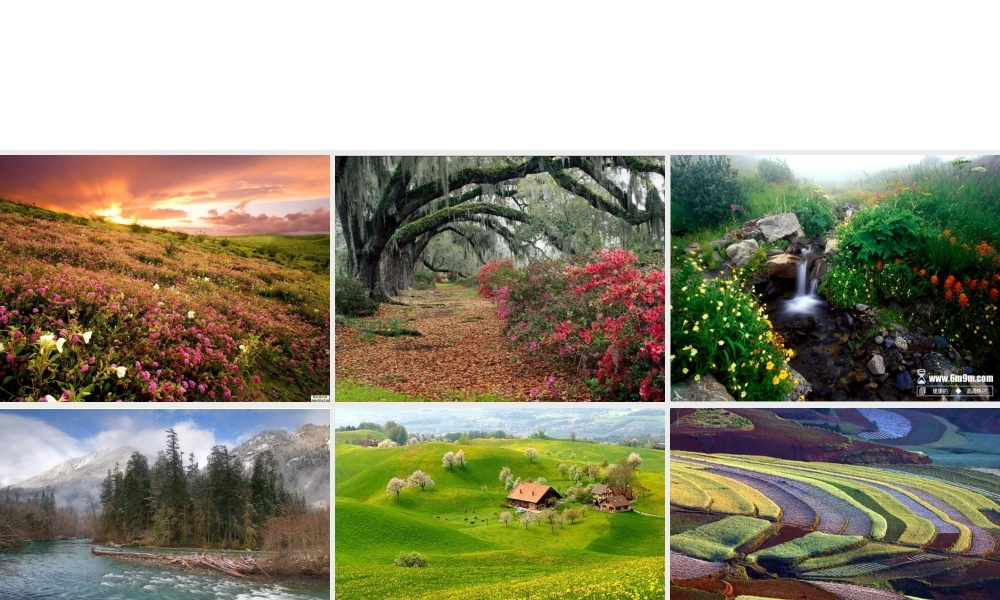 2014年秋八年级政治上册 第三单元 第二课 欣赏与赞美课件 粤教版