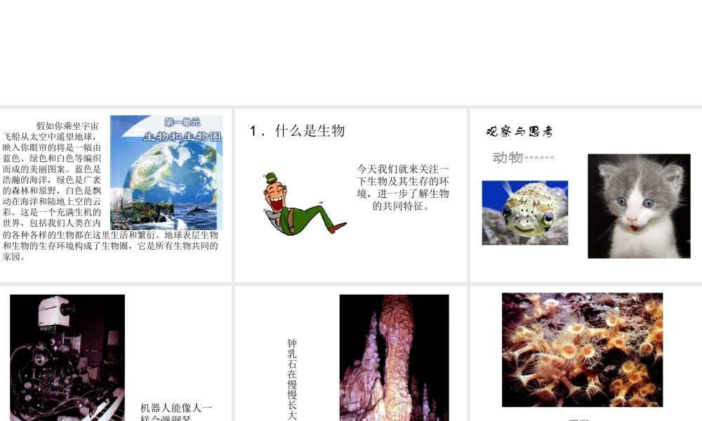 2014秋七年级生物上册 第一单元 第一章 第一节 生物的特征课件 新人教版