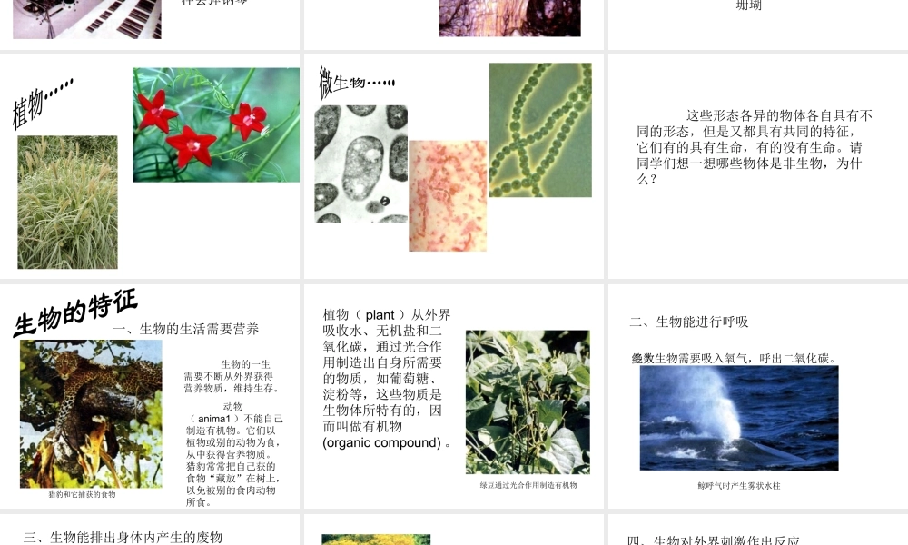2014秋七年级生物上册 第一单元 第一章 第一节 生物的特征课件 新人教版