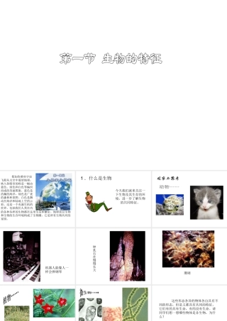 2014秋七年级生物上册 第一单元 第一章 第一节 生物的特征课件 新人教版
