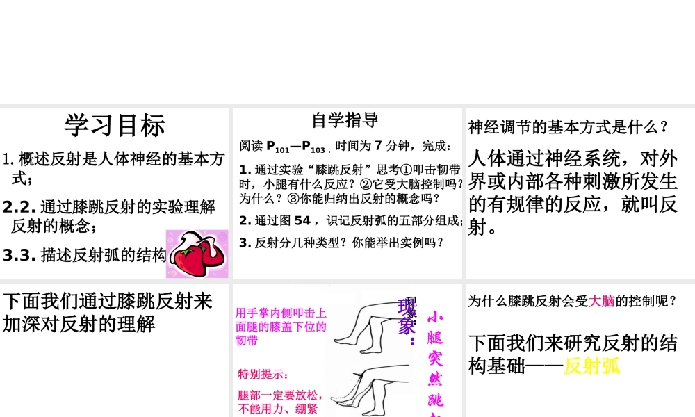2014秋七年级生物下册 第六章 第三节 神经调节的基本方式课件 新人教版