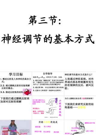 2014秋七年级生物下册 第六章 第三节 神经调节的基本方式课件 新人教版
