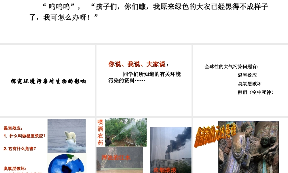 2014秋七年级生物下册 第七章 第二节 探究环境污染对生物的影响（第2课时）课件 新人教版