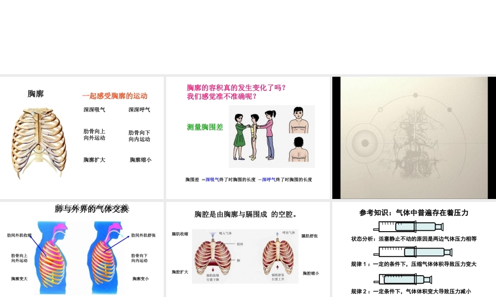 2014秋七年级生物下册 第三章 第二节 发生在肺内的气体交换课件 新人教版