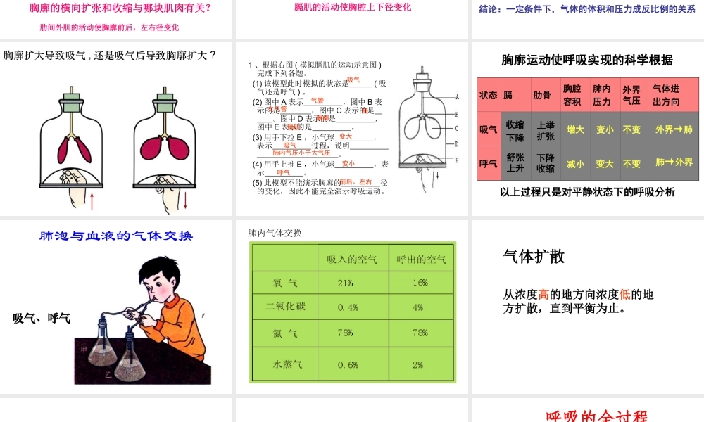 2014秋七年级生物下册 第三章 第二节 发生在肺内的气体交换课件 新人教版