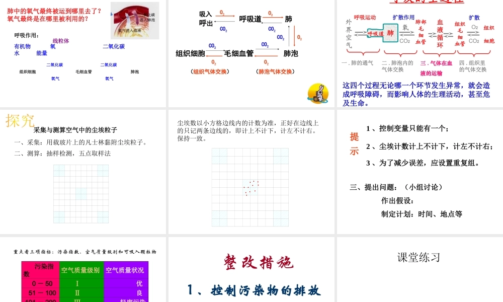 2014秋七年级生物下册 第三章 第二节 发生在肺内的气体交换课件 新人教版