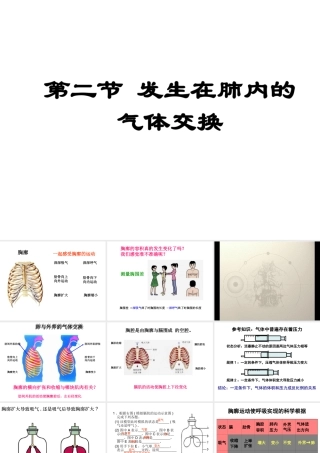 2014秋七年级生物下册 第三章 第二节 发生在肺内的气体交换课件 新人教版