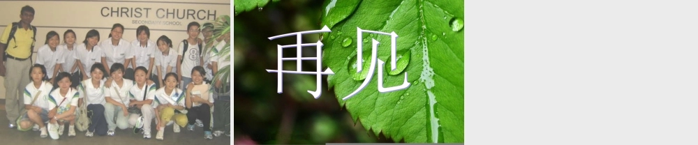 2014年秋八年级政治上册 第三课 第二节 我们的朋友遍天下课件2 鲁教版