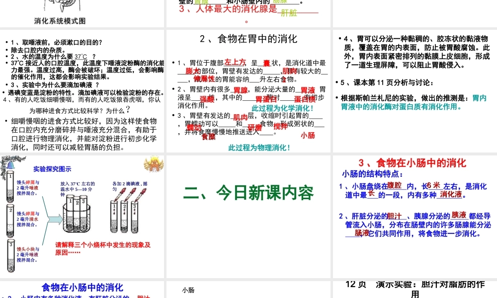 2014秋七年级生物下册 第四单元 第二章 第二节 消化和吸收（第1课时）课件 新人教版