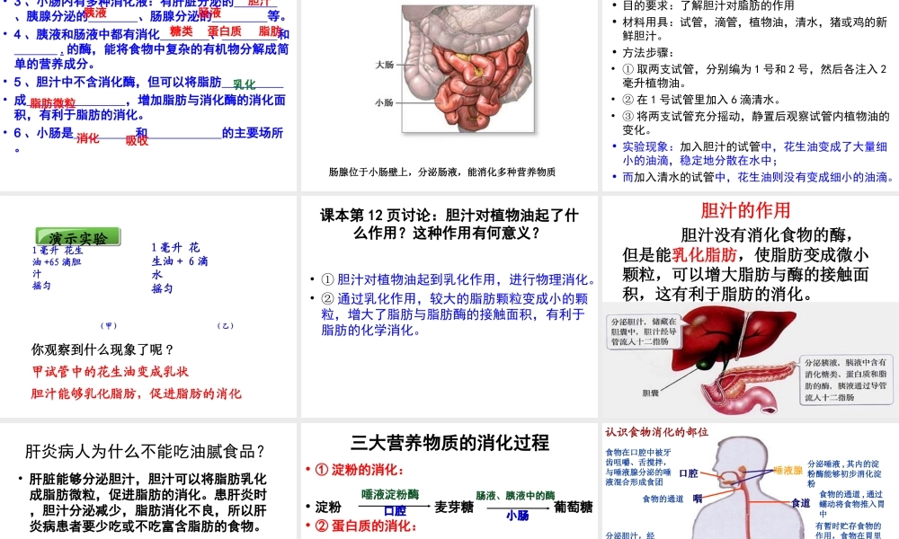 2014秋七年级生物下册 第四单元 第二章 第二节 消化和吸收（第1课时）课件 新人教版