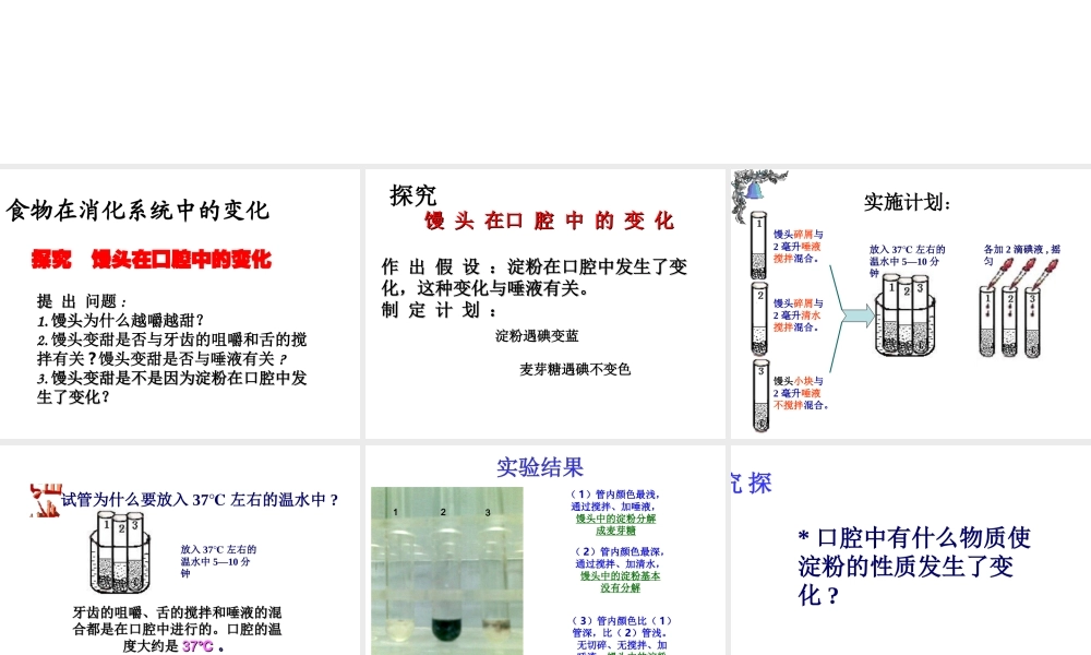 2014秋七年级生物下册 第四单元 第二章 第二节 消化和吸收（第2课时）课件 新人教版