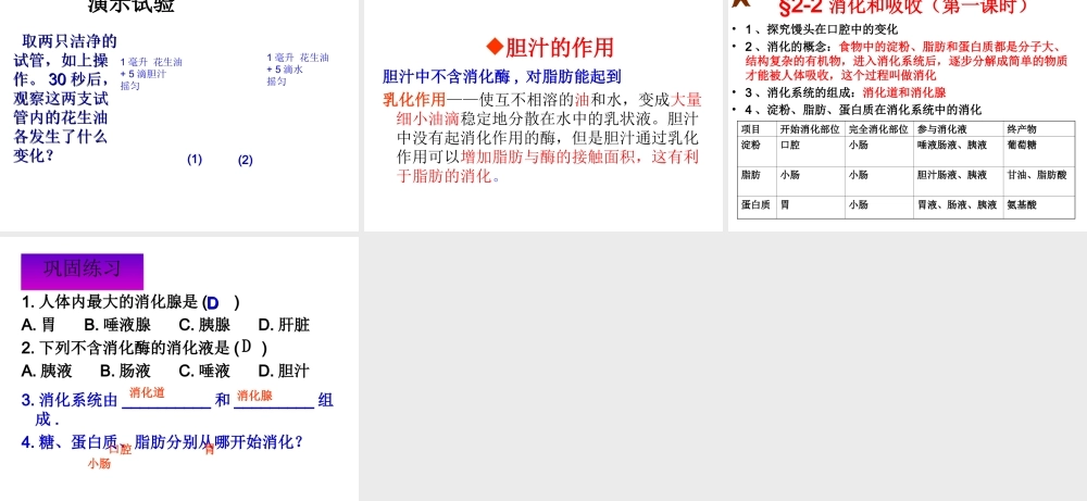2014秋七年级生物下册 第四单元 第二章 第二节 消化和吸收（第2课时）课件 新人教版