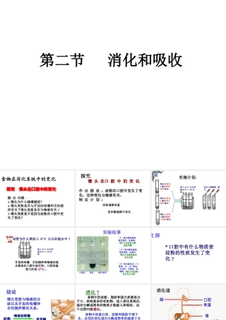 2014秋七年级生物下册 第四单元 第二章 第二节 消化和吸收（第2课时）课件 新人教版