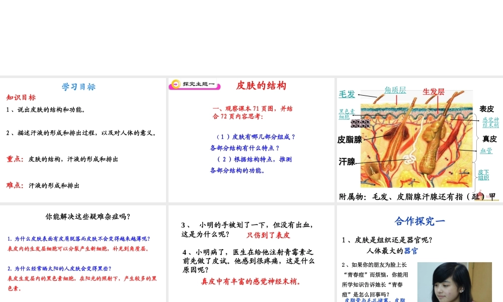 2014秋七年级生物下册 第四章 第二节 汗液的形成和排出（第1课时）课件 济南版