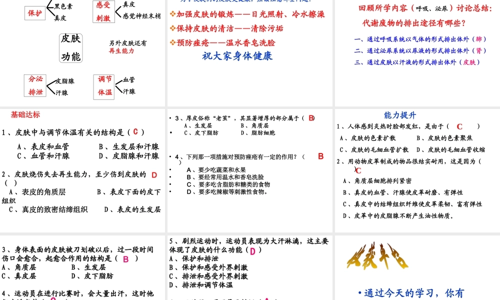 2014秋七年级生物下册 第四章 第二节 汗液的形成和排出（第1课时）课件 济南版