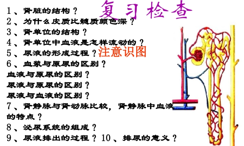 2014秋七年级生物下册 第四章 第二节 汗液的形成和排出（第2课时）课件 济南版