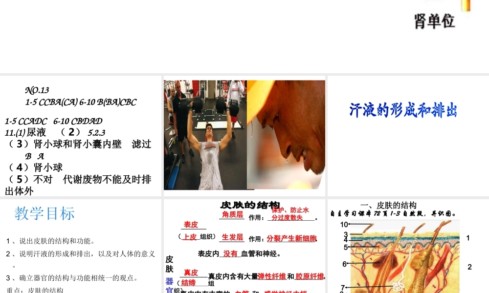 2014秋七年级生物下册 第四章 第二节 汗液的形成和排出（第2课时）课件 济南版