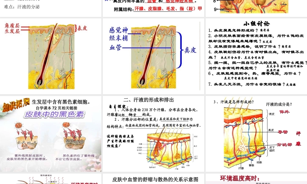 2014秋七年级生物下册 第四章 第二节 汗液的形成和排出（第2课时）课件 济南版
