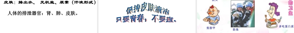 2014秋七年级生物下册 第四章 第二节 汗液的形成和排出（第2课时）课件 济南版