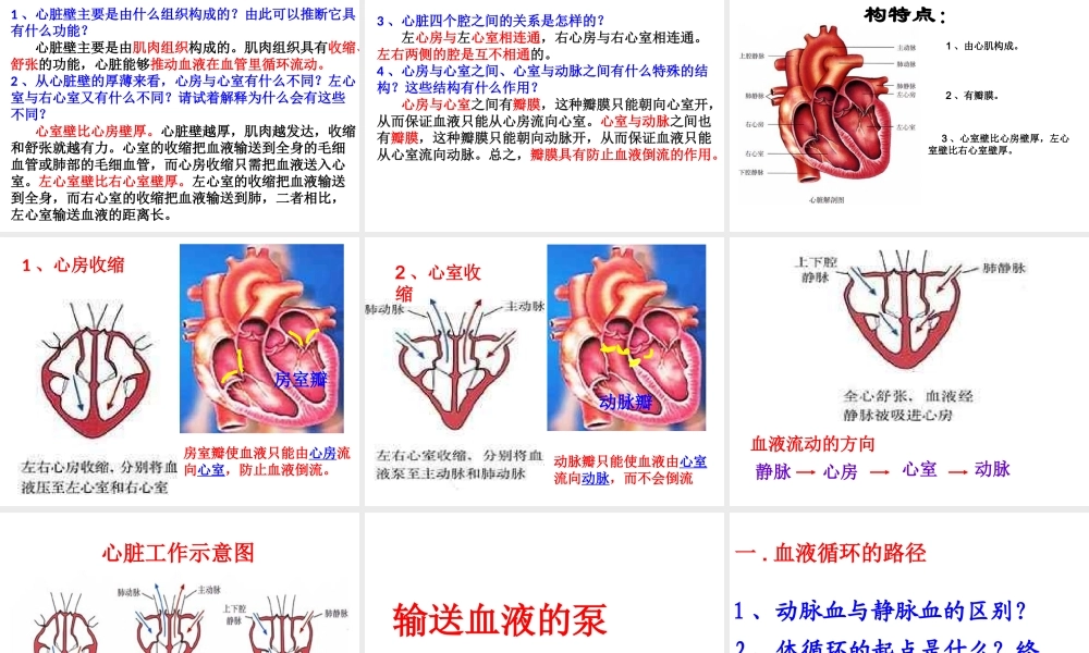 2014秋七年级生物下册 第四章 第三节 输送血液的泵—心脏（第1课时）课件 新人教版