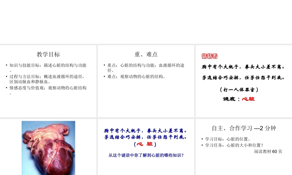 2014秋七年级生物下册 第四章 第三节 输送血液的泵—心脏（第2课时）课件 新人教版