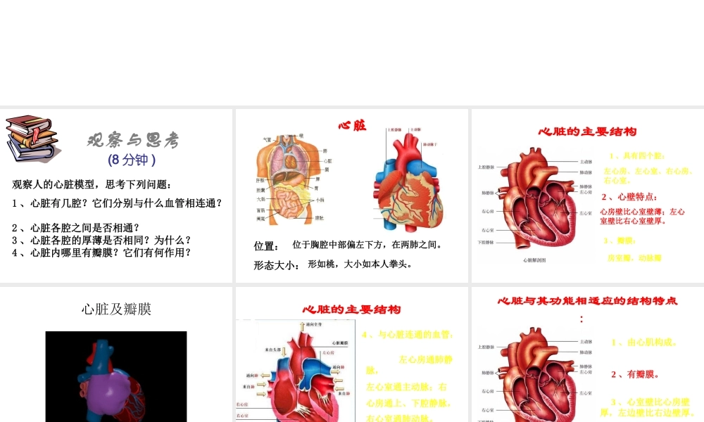 2014秋七年级生物下册 第四章 第三节 输送血液的泵—心脏（第3课时）课件 新人教版