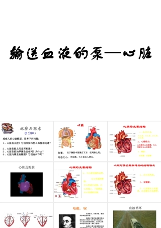2014秋七年级生物下册 第四章 第三节 输送血液的泵—心脏（第3课时）课件 新人教版
