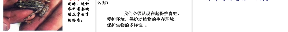 2015年八年级生物下册 7.1.3 两栖动物的生殖和发育课件 新人教版
