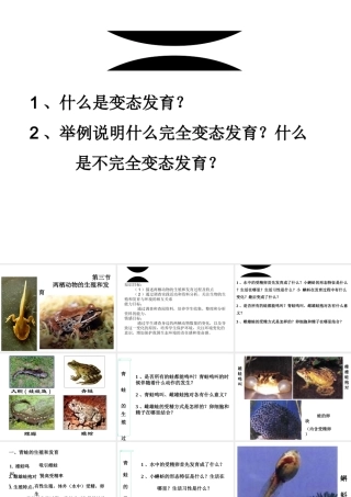 2015年八年级生物下册 7.1.3 两栖动物的生殖和发育课件 新人教版